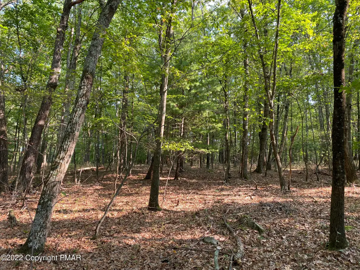 Lot 11 Metzger Road, East Stroudsburg, PA 18301 - #1