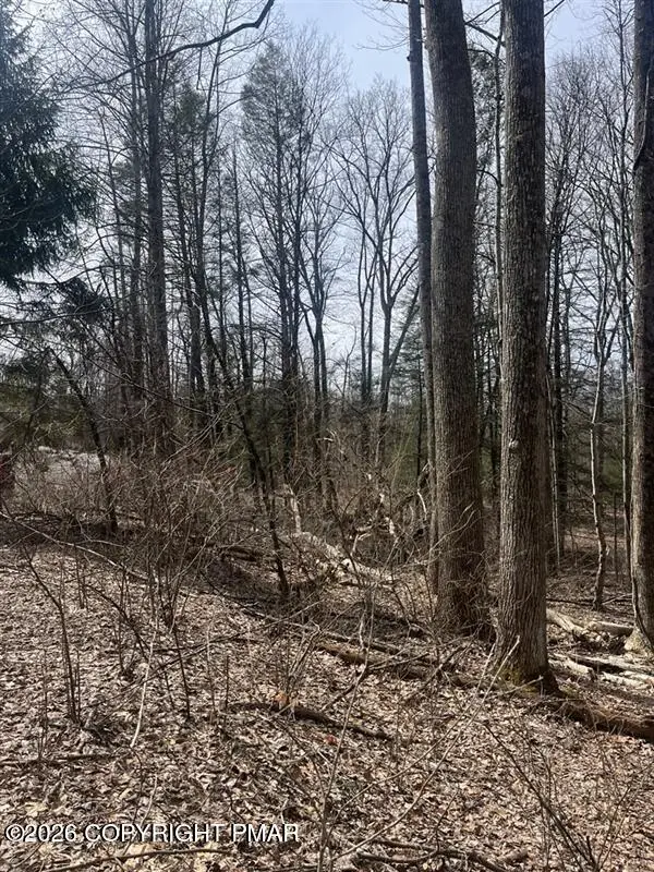 Lot 10 Keene Way, Saylorsburg, PA 18353 - #3