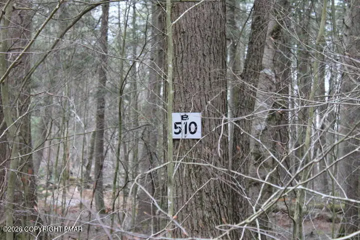 Forest Rd East 510 E, Pocono Lake, PA 18347 - #3