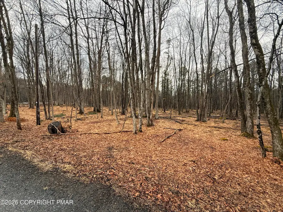 Masters Trail, Albrightsville, PA 18210 - #3