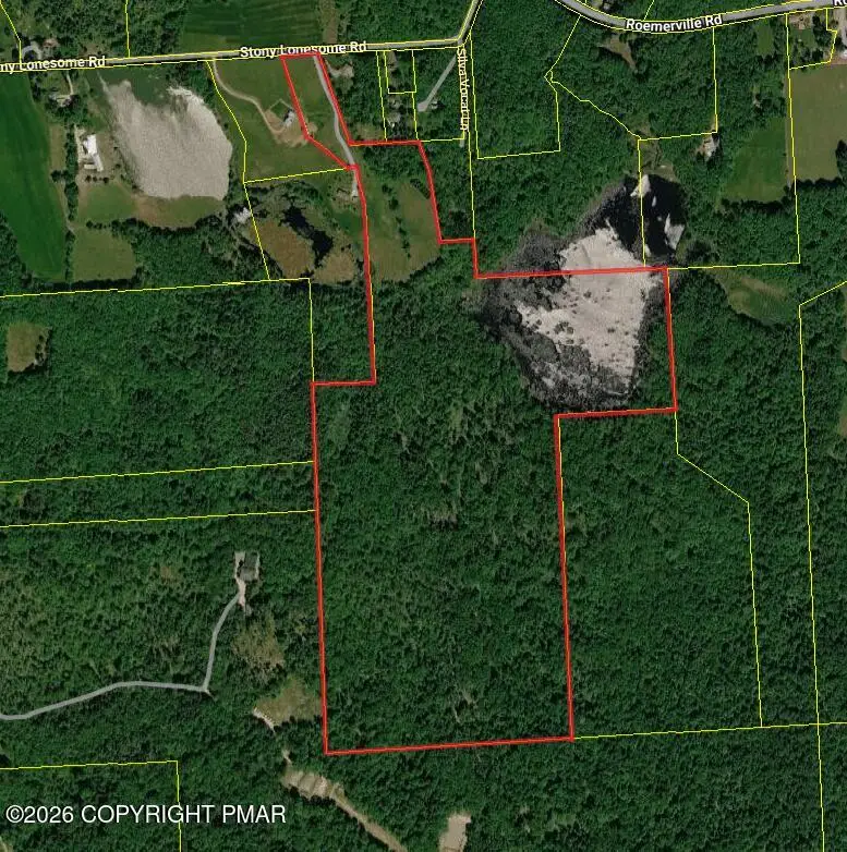 Stony Lonesome Road, Newfoundland, PA 18445 - #3