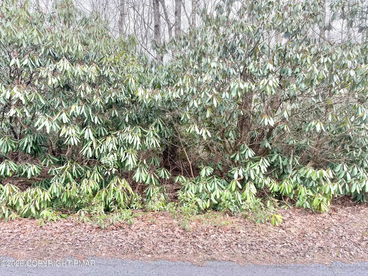 Lot 49A Susquehanna Drive, Jim Thorpe, PA 18229 - #1