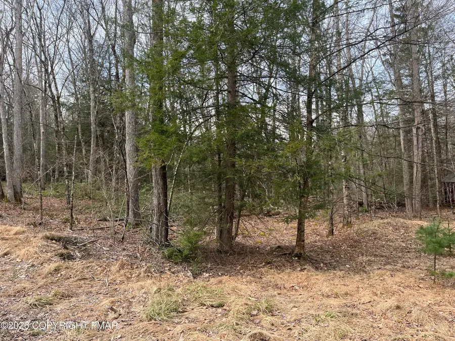 203 Pa-739, Hawley, PA 18428 - #2