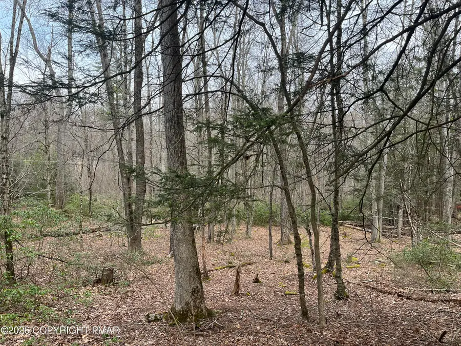 203 Pa-739, Hawley, PA 18428 - #3