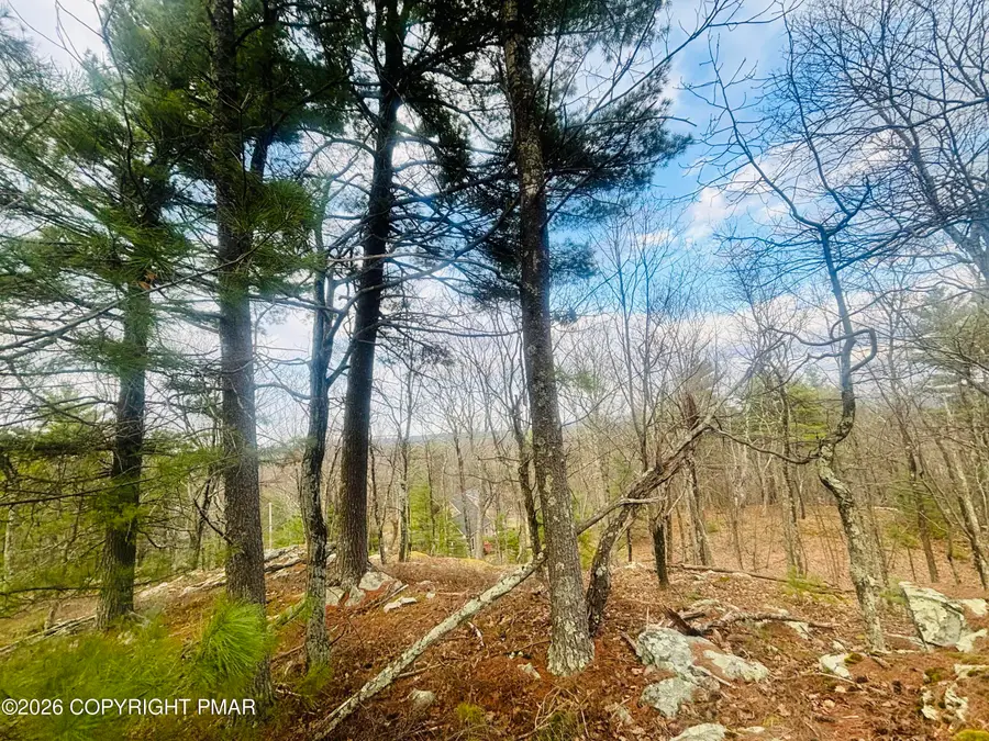 111 Country Club Road, Dingmans Ferry, PA 18328 - #3