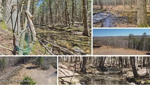 Dixon Lane, White Haven, PA 18661 - #1