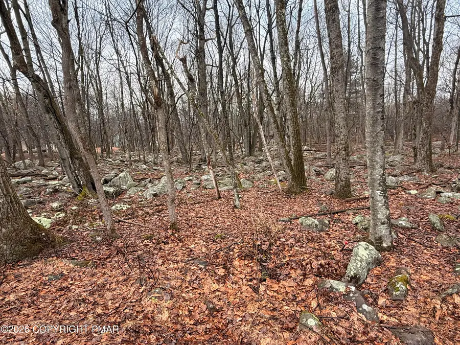 Lipo Way, Albrightsville, PA 18210 - #3