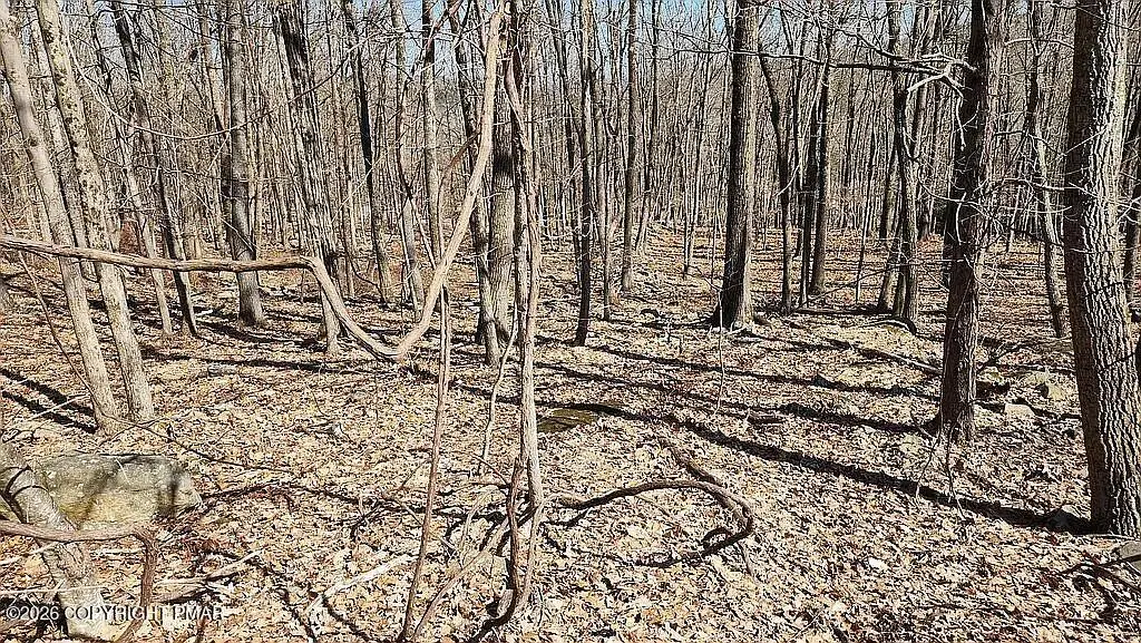 Eagle Pass 711, Swiftwater, PA 18370 - #1