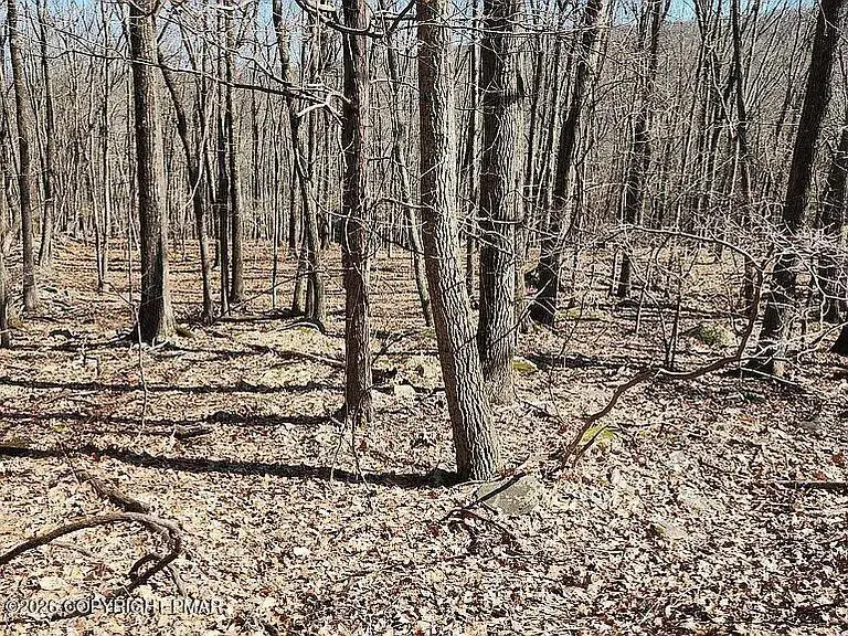 Eagle Pass 711, Swiftwater, PA 18370 - #2