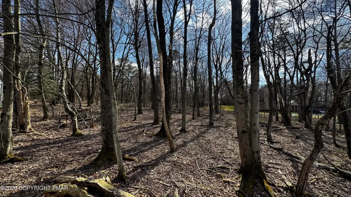 Stony Mountain Road, Albrightsville, PA 18210 - #1