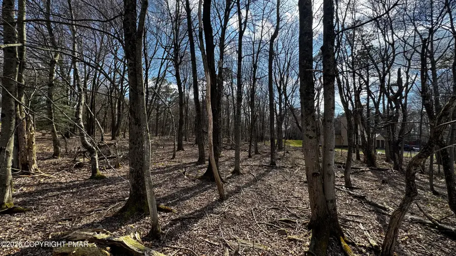 Stony Mountain Road, Albrightsville, PA 18210 - #2