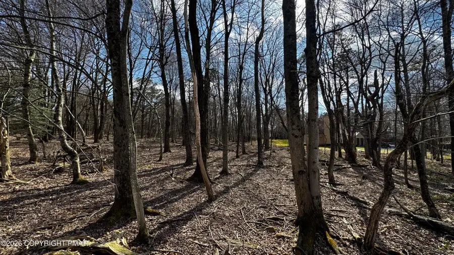 Stony Mountain Road, Albrightsville, PA 18210 - #3