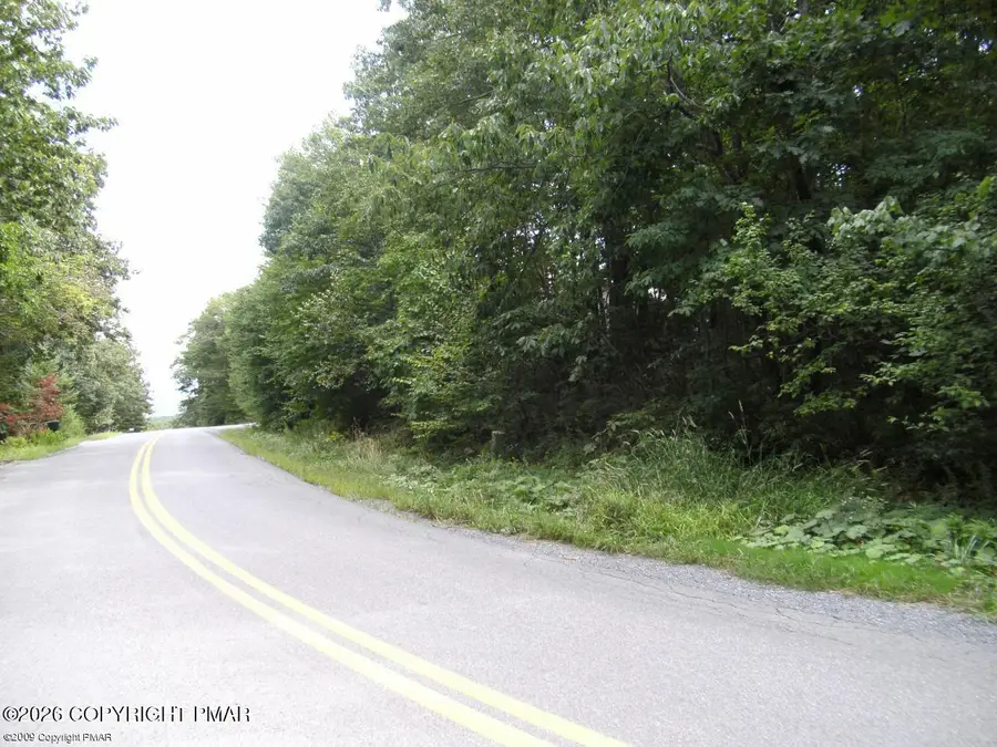 Brunswick Drive, Mount Pocono, PA 18344 - #2