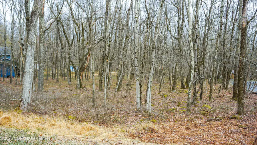 Mountain View Drive, Jim Thorpe, PA 18229 - #3