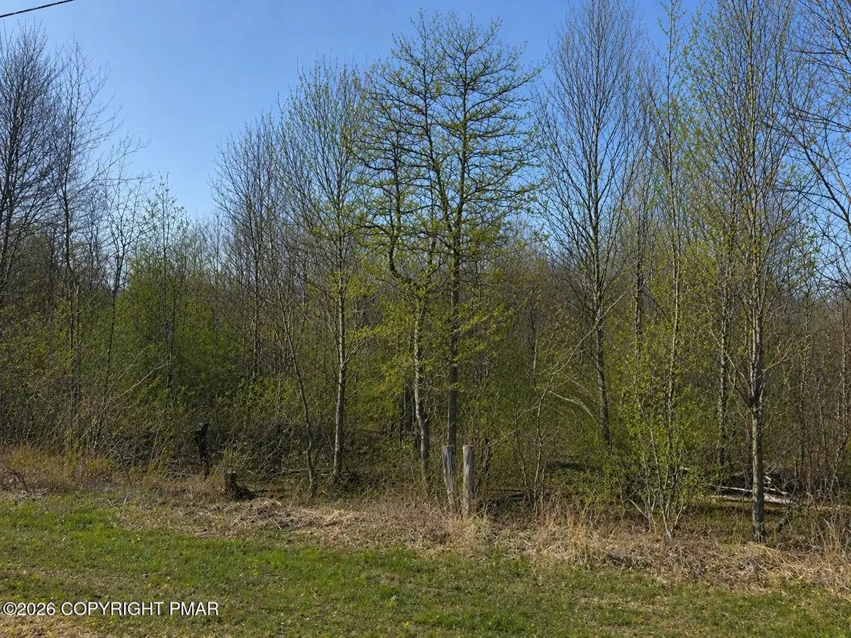 Buttonbush Lane, Hazle, PA 18202 - #1