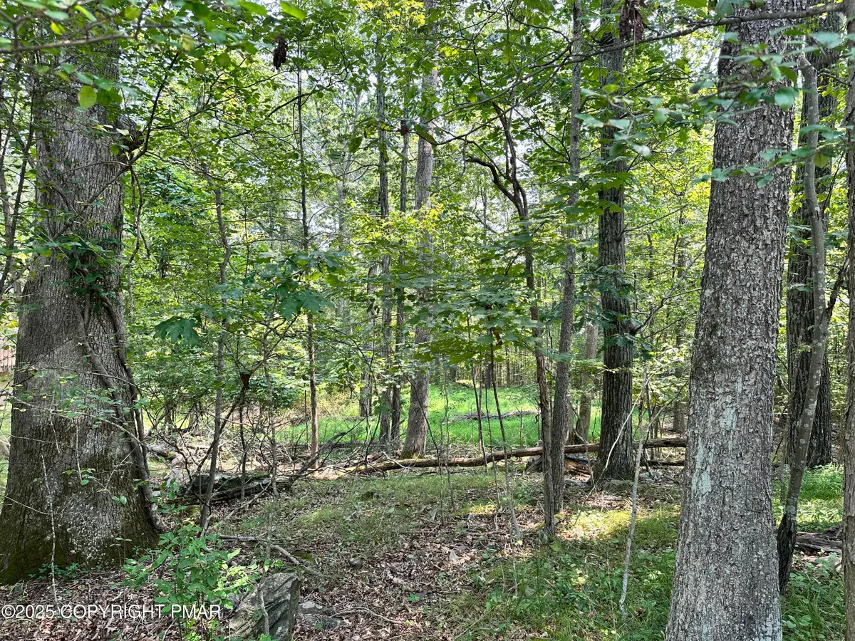 Timber Hill Rd 2b, Henryville, PA 18332 - #1