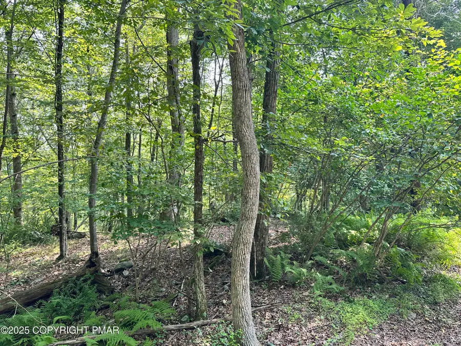 St Moritz Ct 3f, Henryville, PA 18332 - #3