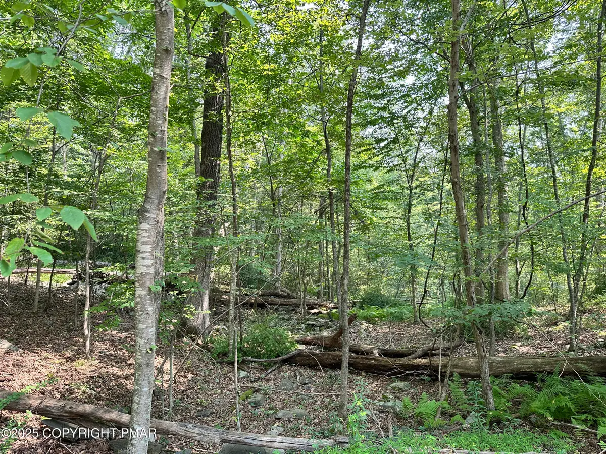 St Moritz Ct 4f, Henryville, PA 18332 - #1