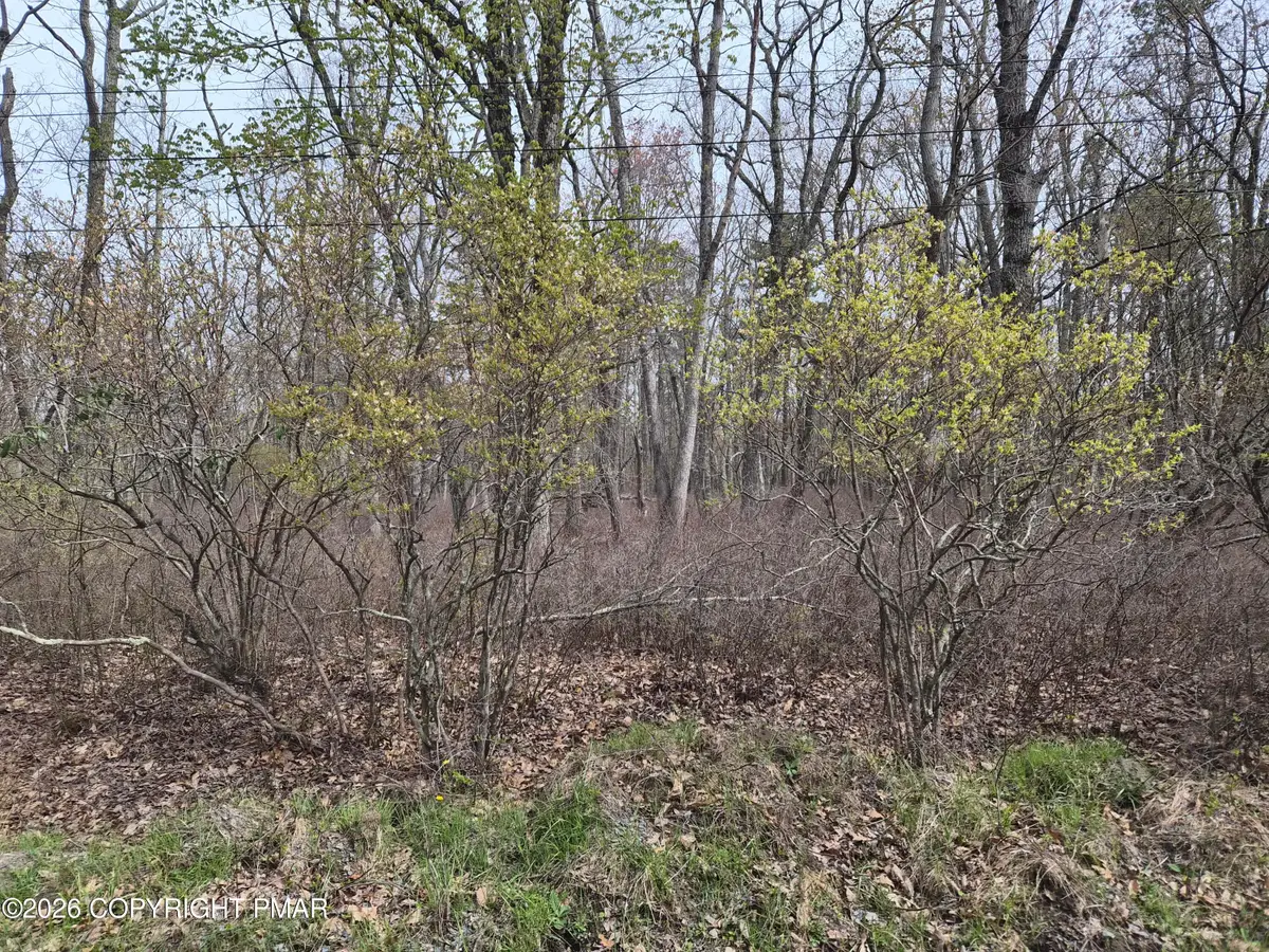 Lot 20 Big Oak Road, Canadensis, PA 18325 - #1