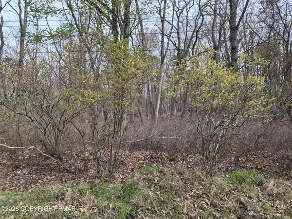 Lot 20 Big Oak Road, Canadensis, PA 18325