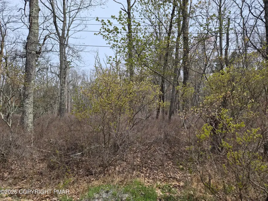 Lot 20 Big Oak Road, Canadensis, PA 18325 - #2