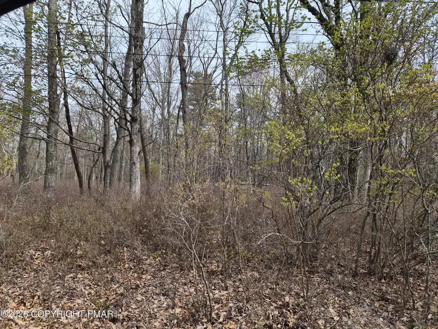 Lot 20 Big Oak Road, Canadensis, PA 18325 - #3