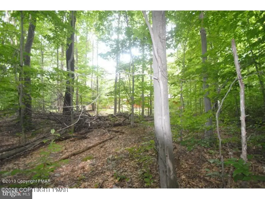 183 Sweet Briar Road, Pocono Pines, PA 18350 - #2
