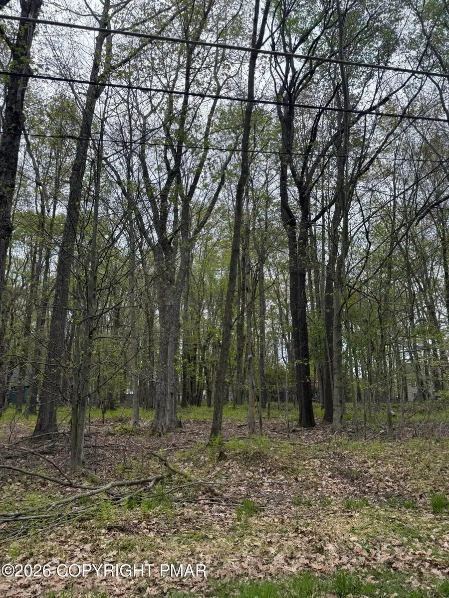 6 Paiute Path, Pocono Lake, PA 18347 - #2