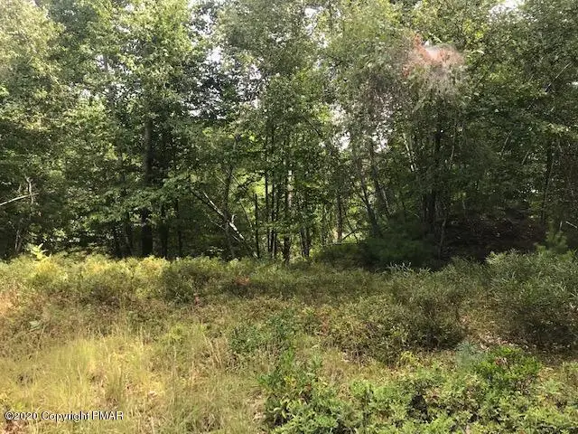 150 Pa-390, Tafton, PA 18464 - #1