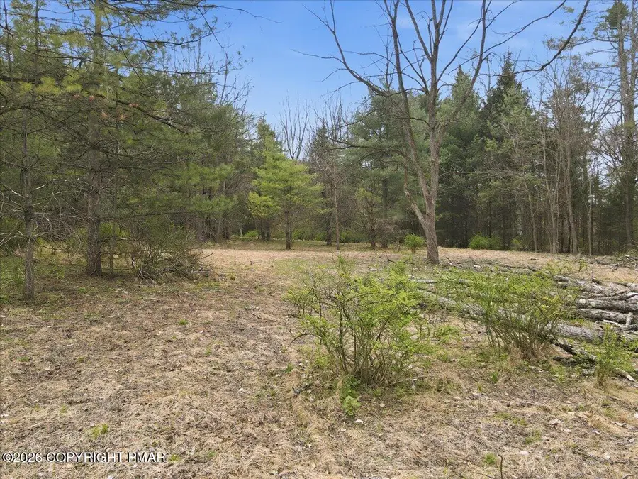 Masthope Plank Road, Lackawaxen, PA 18435 - #2