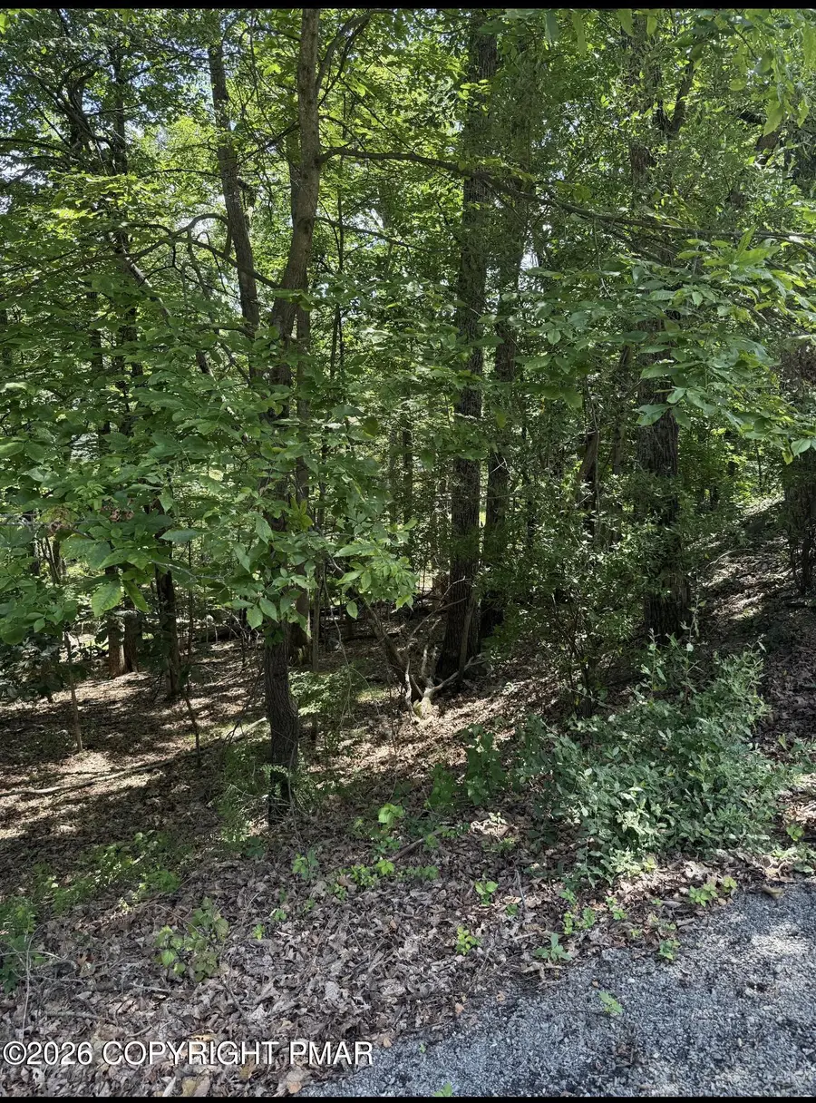 Rolling Hils Dr 37 Drive, East Stroudsburg, PA 18302 - #3