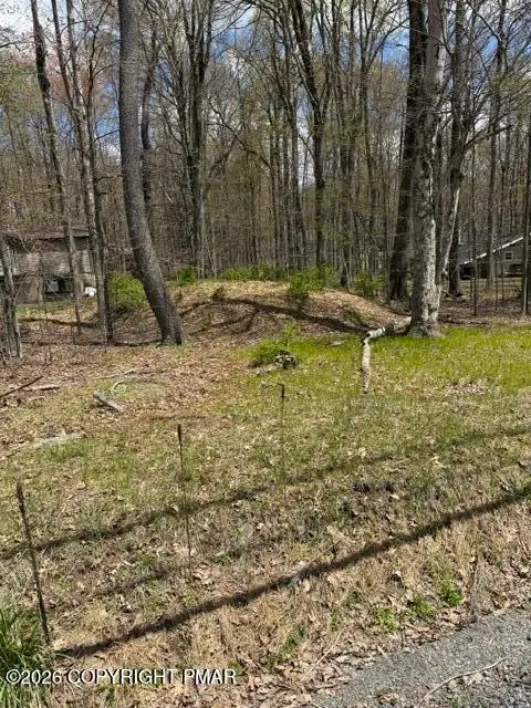 301 Tommys Lane, Pocono Lake, PA 18347 - #2