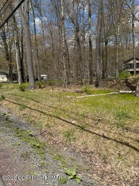 301 Tommys Lane, Pocono Lake, PA 18347 - #3