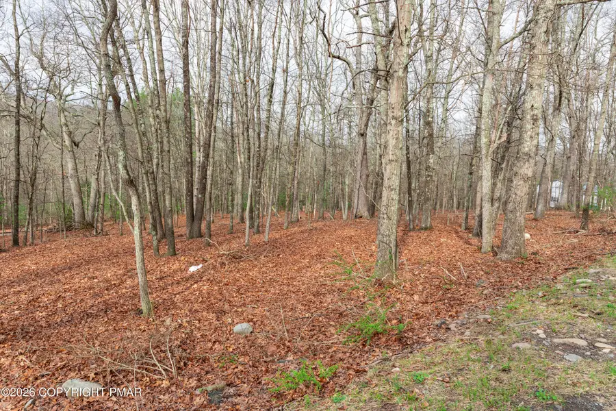 0 Station Hill Road, Henryville, PA 18332 - #3