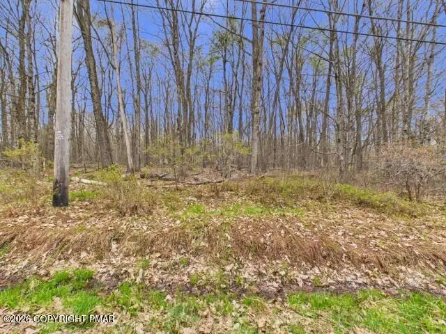 617 Berry Ln 617 Lane, Pocono Lake, PA 18347 - #1