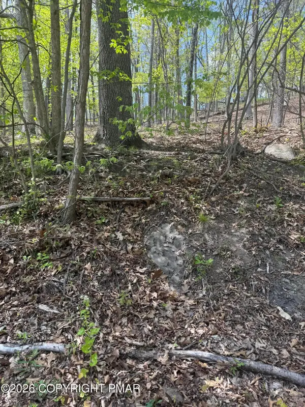 Burgoon Road, East Stroudsburg, PA 18301