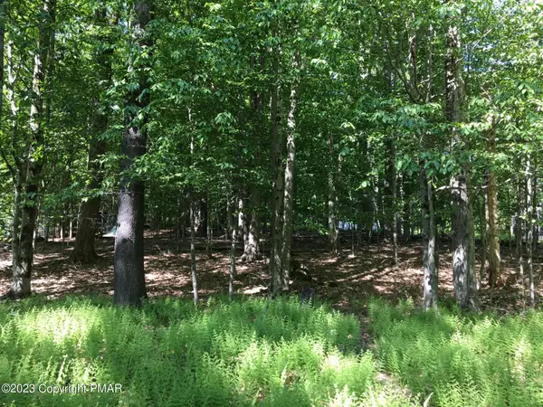 Lot 615 Locust Lane, Pocono Lake, PA 18347