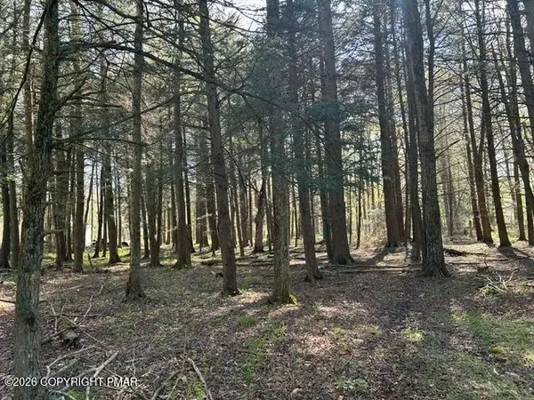 George Dr Drive, Pocono Lake, PA 18347