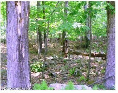 590 Raccoon Trl 590 Trail, Tobyhanna, PA 18466 - #2
