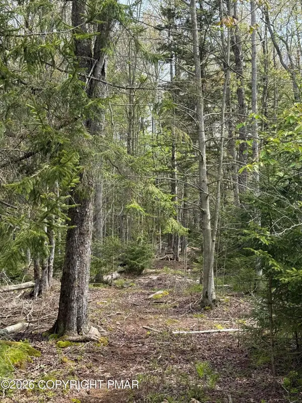 Lot 18 Wiconisco Dr 1 18, Pocono Lake, PA 18347