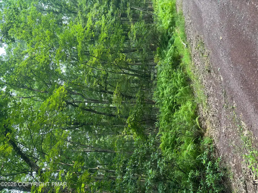 Cougar Drive, White Haven, PA 18661 - #3