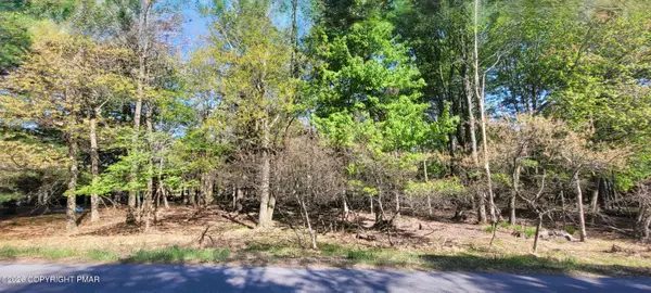 D2019 Penn Forest Trail, Albrightsville, PA 18210