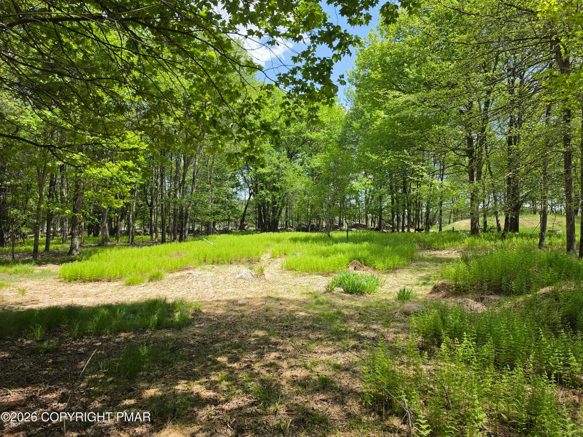 Lot EV661 Lang Way, Albrightsville, PA 18210 - #1