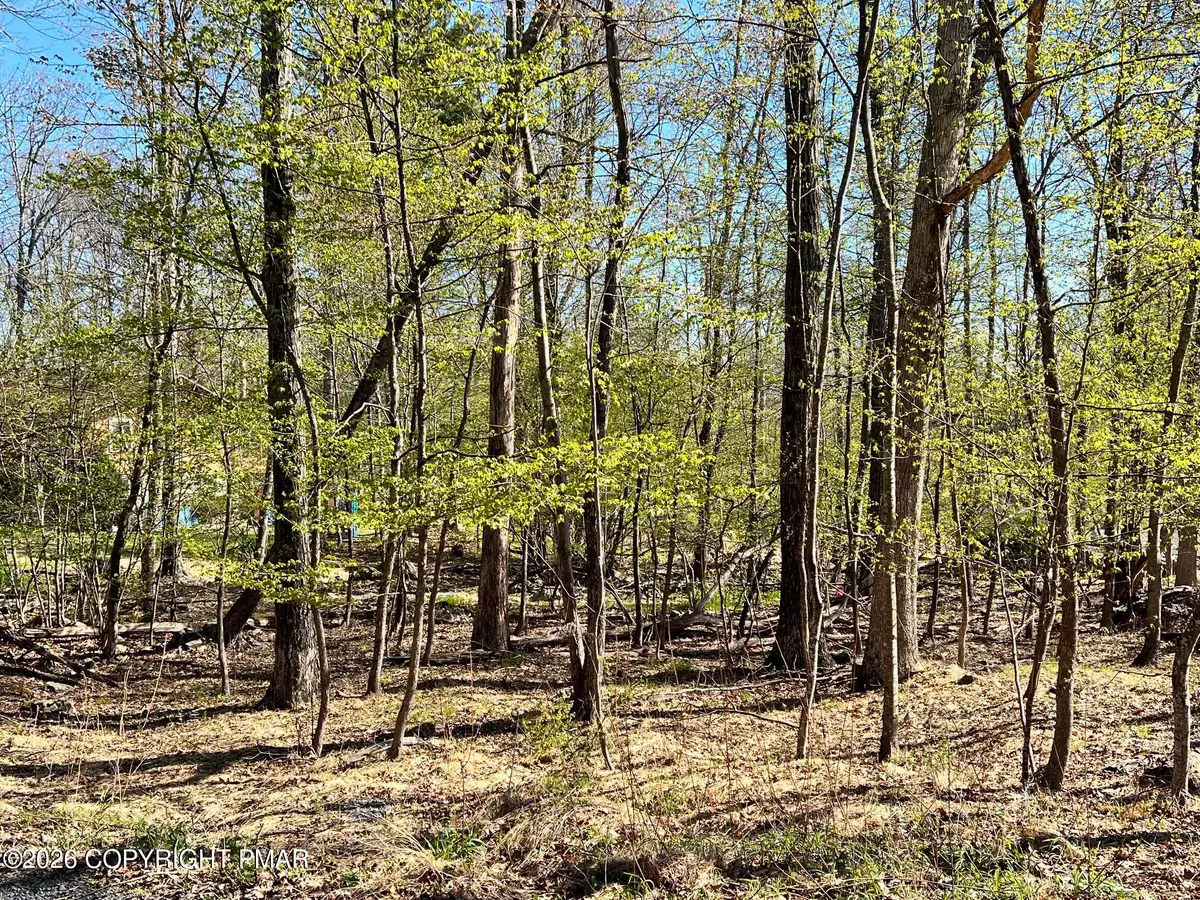 Chickadee Way 6 Way, East Stroudsburg, PA 18302 - #1