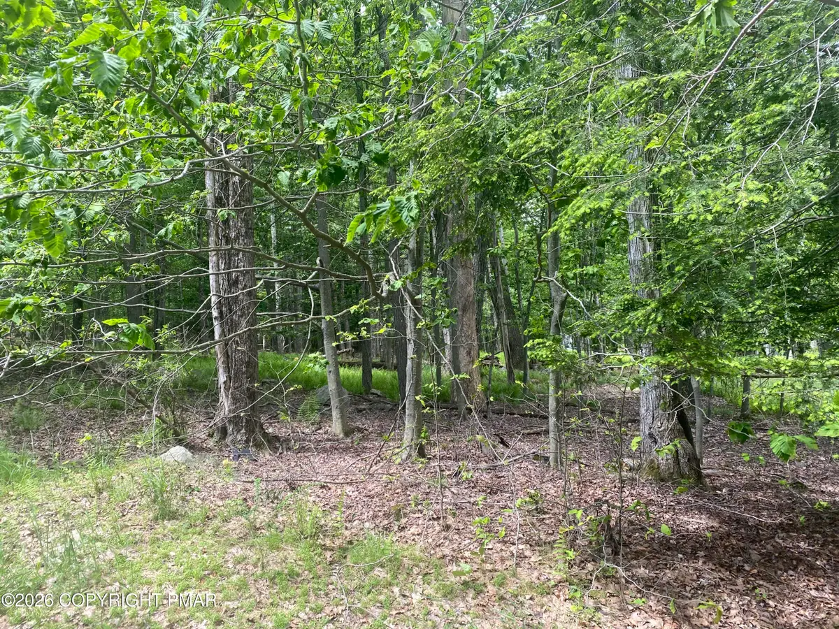 86 Lookout Point Road, Canadensis, PA 18325 - #1