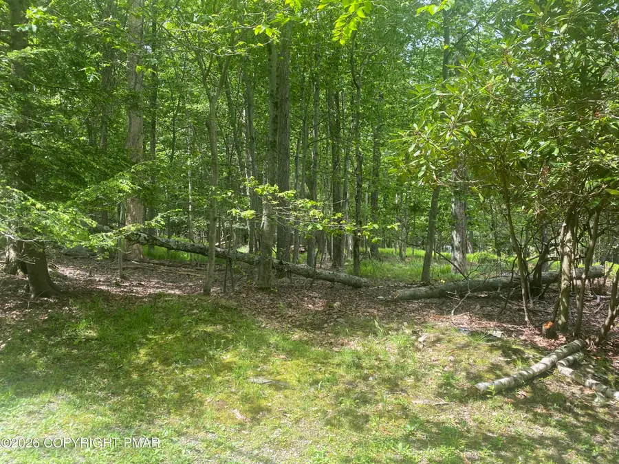 86 Lookout Point Road, Canadensis, PA 18325 - #2