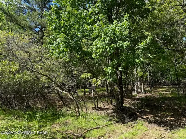 Lot EV1656 Maccauley Road, Albrightsville, PA 18210