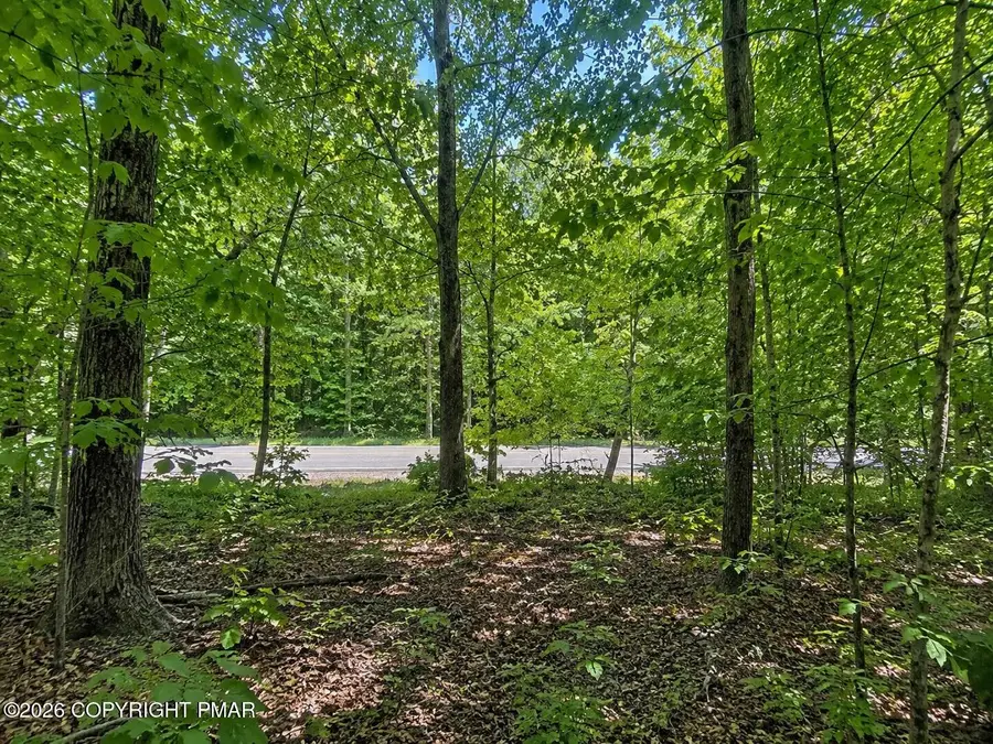 Dogwood Ln 925, Canadensis, PA 18325 - #2