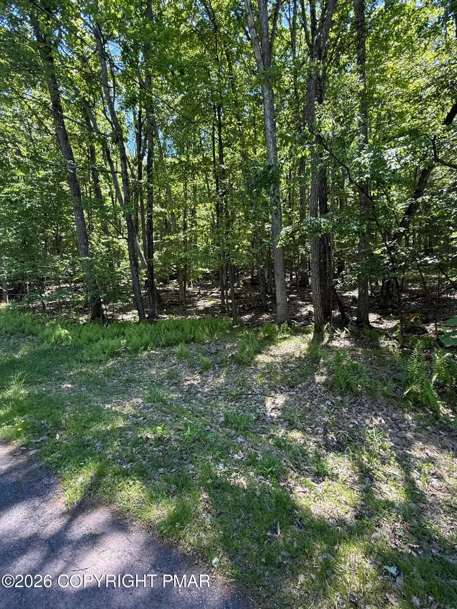 Paper Birch N, Tafton, PA 18464 - #3