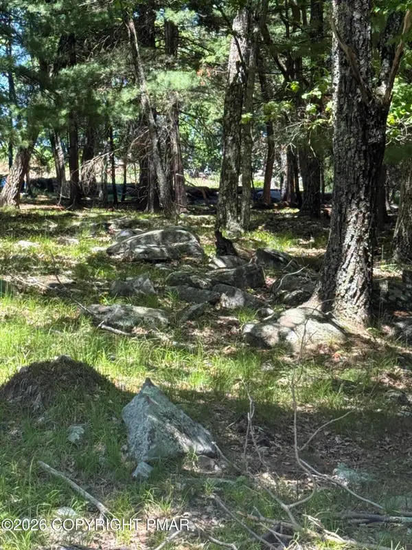 Song Mountain Drive, Tafton, PA 18464